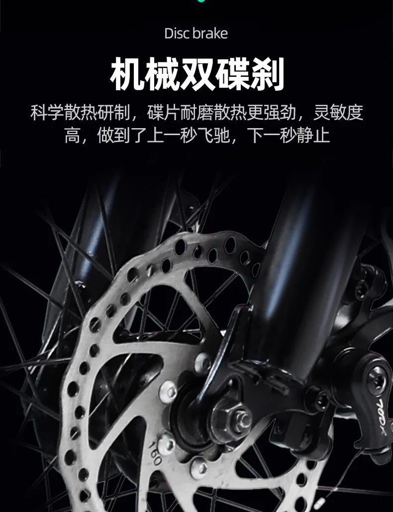 Adult Electric Bike 26 Inch Mountain Bike 350W 36V Electric Bicycle City Lady With 2 Seat And Basket Waterproof Hidden Battery