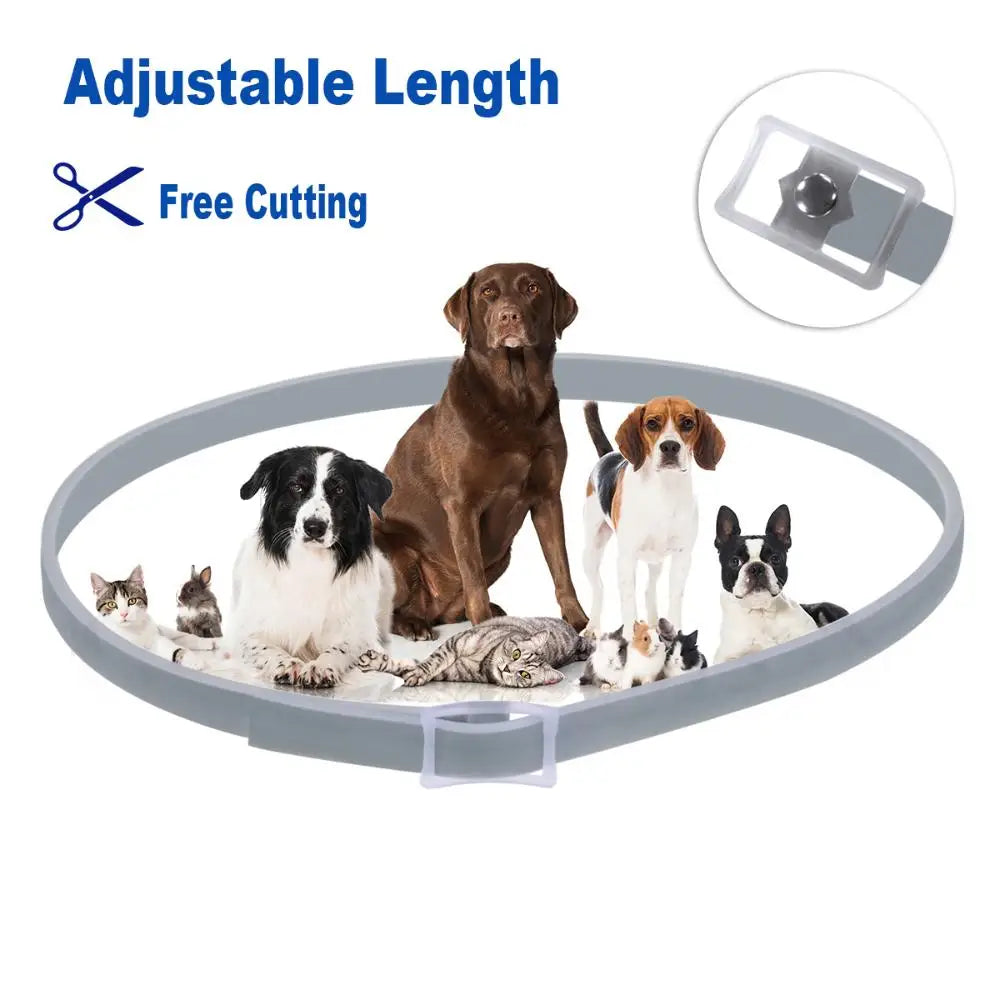 Silicone Adjustable Dog Collar Cat Necklace 8 Month Protection Corgi Teddy Pet Supplies
