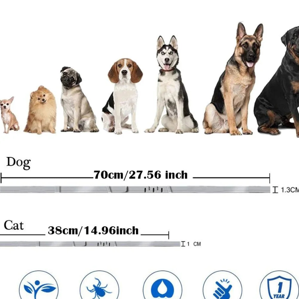 Silicone Adjustable Dog Collar Cat Necklace 8 Month Protection Corgi Teddy Pet Supplies