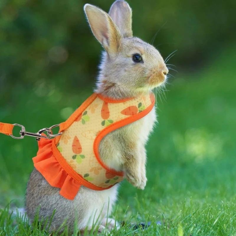 Rabbit Harness with Leash Cute Adjustable Buckle Breathable Mesh Vest Skirt for Bunny Guinea Pig Small Pet Traction Harness Suit