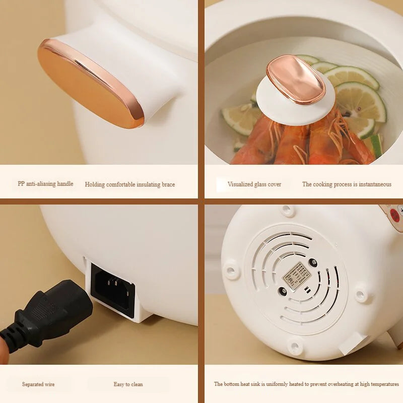 Portable Stainless Steel Electric Heater Multi-Function Rice & Noodle Cooker with Steamer for Kitchen Use Smart Electronic Type