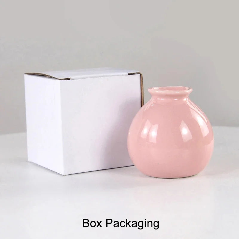 Ceramics Flower Vase Nordic Hydroponics Vases for Home Room Decoration Mini Flower Plant White Bottle Pots Desktop Ornament