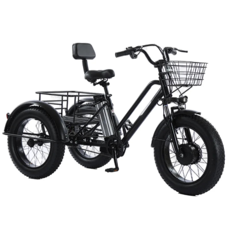 20 Inch Fat Electric Bike 3 Wheeled Electric Tricycle With Passenger Seat for Adult 48v 500w Powerful Lithium Battery Removable