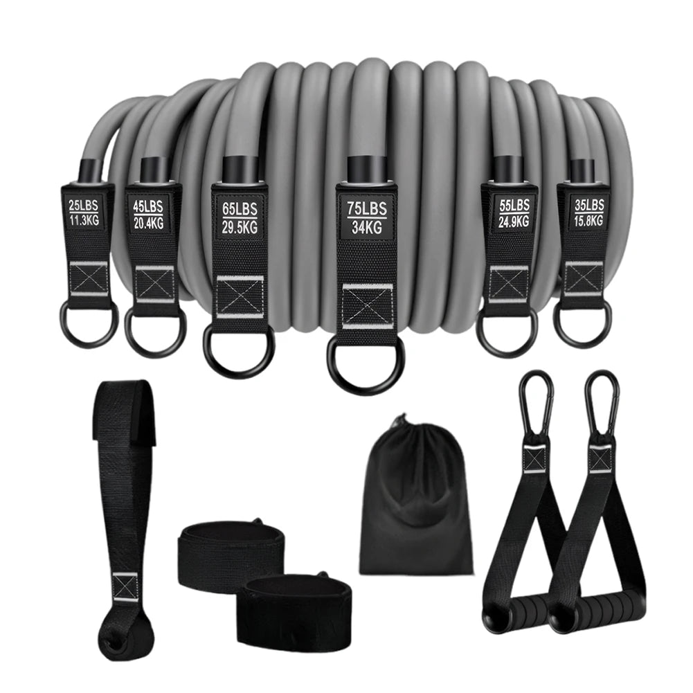 Resistance Bands Fitness Bands Set Heavy Duty Workout Bands with Handles Weight Bands Multi-Function for Yoga Home Workouts