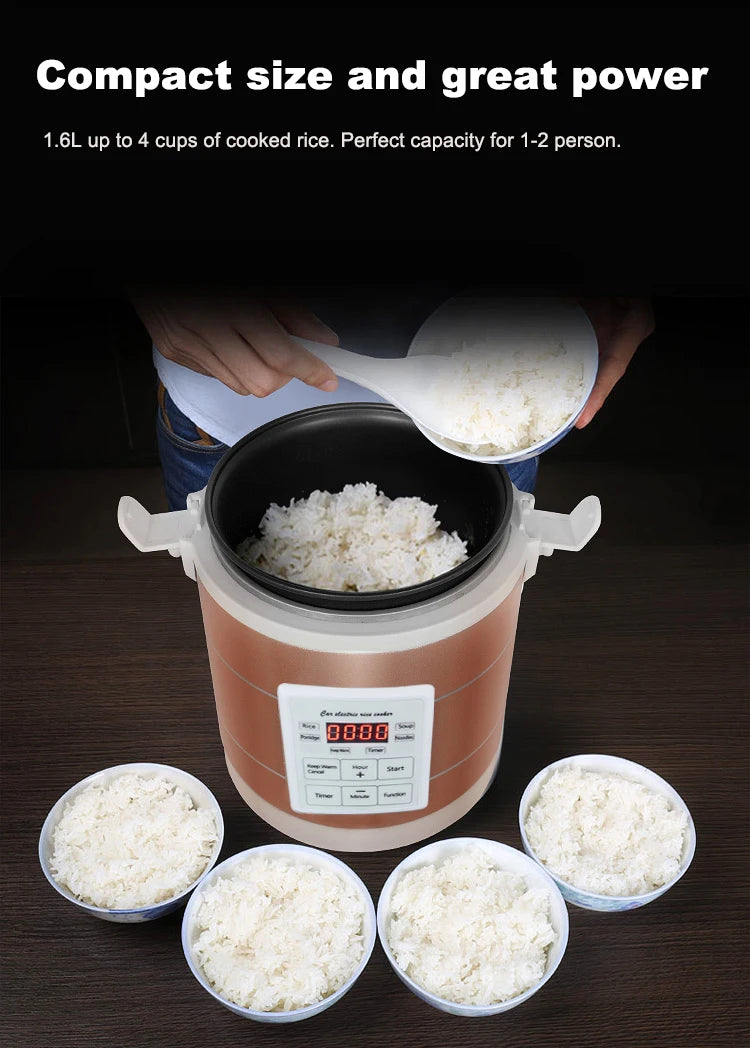 Mini Rice Cooker 12-24V Multifunction Electric Steamer home Appliance Portable for Camping RV Camper Gold Russian Menu