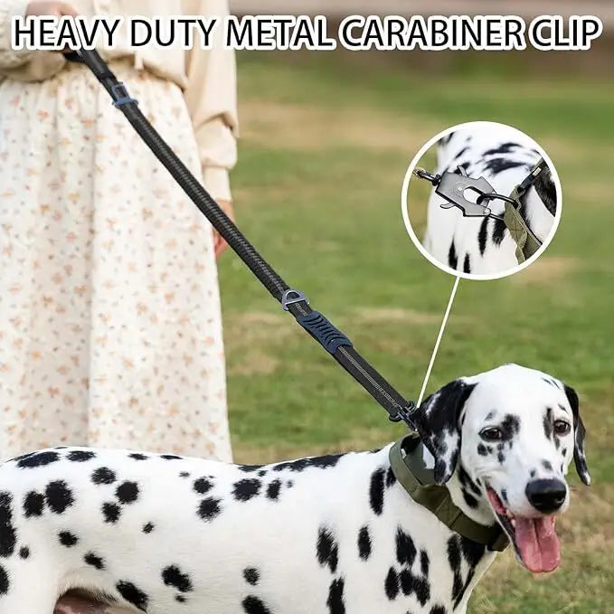 Reflective Shock Absorbing Pet Dog Leash with Car Seatbelt for Large Dogs Heavy Duty Tactical Bungee Dog Leash No Pull Dog Leash