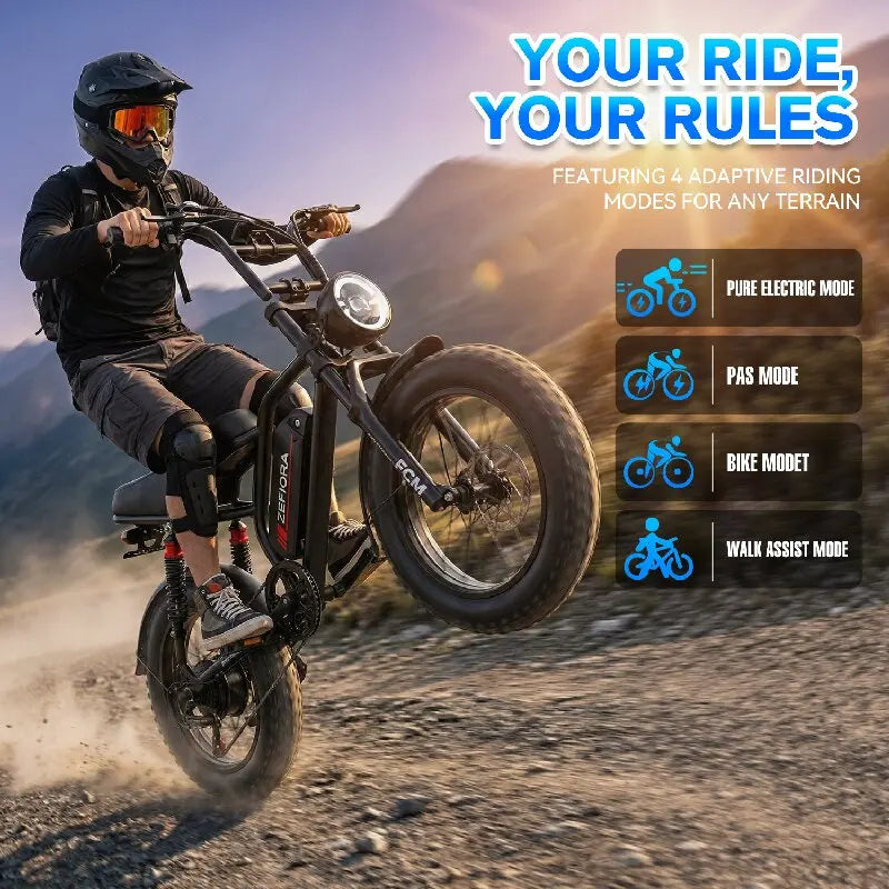 ZEFIORA V12 snow electric bike 20 inch 800W Peak Motor 25MPH 30 Miles 48V Free Local Shipping Certified Ul2849 Factory Original