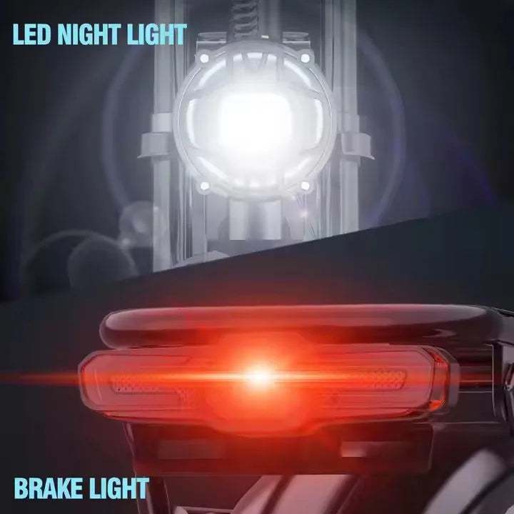 E26Pro 2000w 48V Dual Motor Electric Mountain Dirt Bike Lithium Battery Electric Bike Fat Tire Electric Bicycle E Bikes