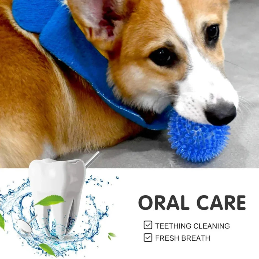 Pet Chew Toys Teeth Grinding Squeaky Tooth Cleaning Ball Cat Puppy Sounding Toy Dog Interactive Toys Pet Supplies