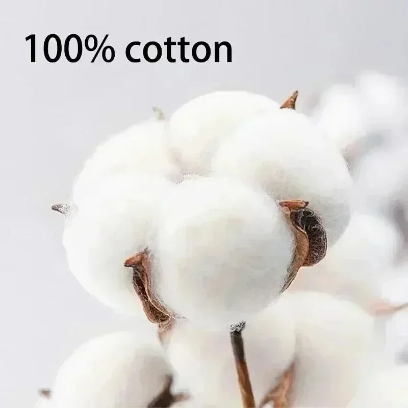 Cotton short-sleeved T-shirt men and women 2025 new summer design sense niche fashion brand