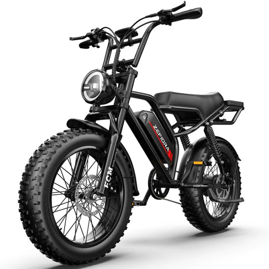 ZEFIORA V12 snow electric bike 20 inch 800W Peak Motor 25MPH 30 Miles 48V Free Local Shipping Certified Ul2849 Factory Original