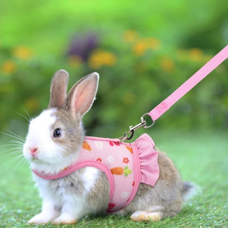 Rabbit Harness with Leash Cute Adjustable Buckle Breathable Mesh Vest Skirt for Bunny Guinea Pig Small Pet Traction Harness Suit