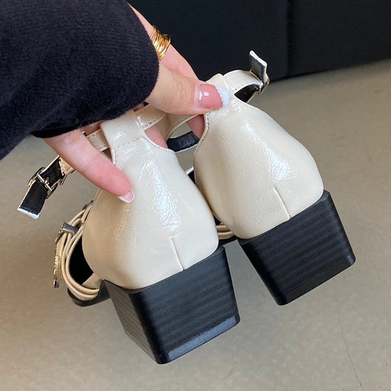 Women High Heels Shoes Ladies Sandals 2025 Pointed Toe Shallow Footwear Thick-Heeled Female Ankle Strap Shoes Fashion Pumps